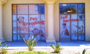 Vinyl window graphics for Carlsbad CA